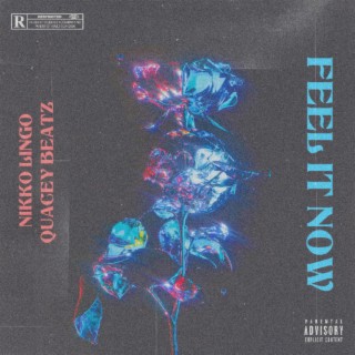 FEEL IT NOW ft. Nikko Lingo lyrics | Boomplay Music