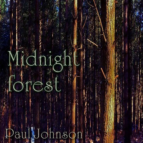 Midnight Forest | Boomplay Music