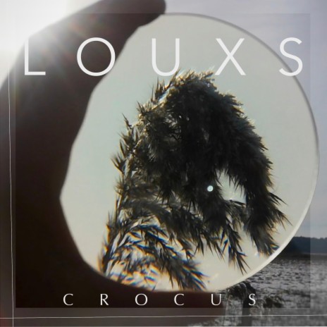 Crocus | Boomplay Music