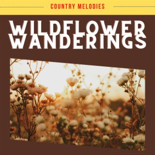 Wildflower Wanderings
