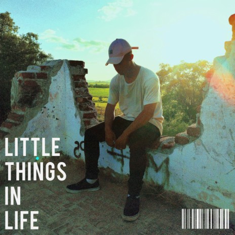 little things in life | Boomplay Music