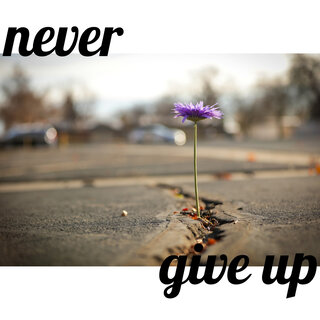 Never Give Up