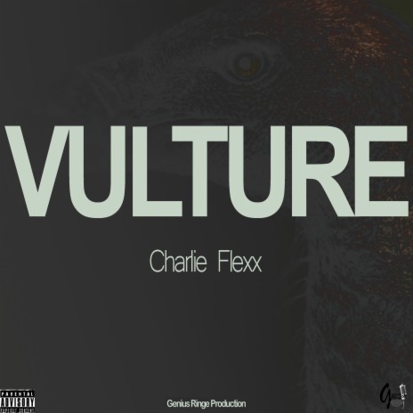 Vulture | Boomplay Music