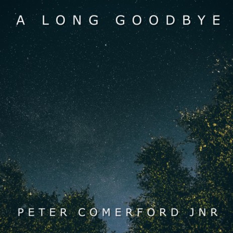 A Long Goodbye | Boomplay Music