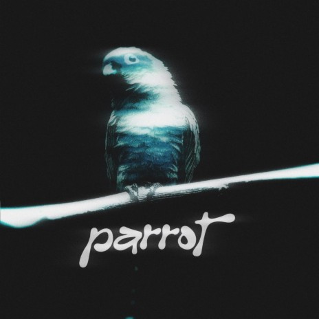 parrot | Boomplay Music