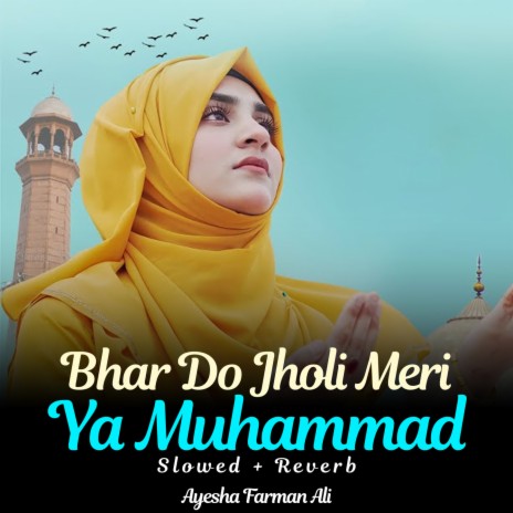 Bhar Do Jholi Meri Ya Muhammad Lofi