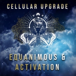 Equanimous & Activation