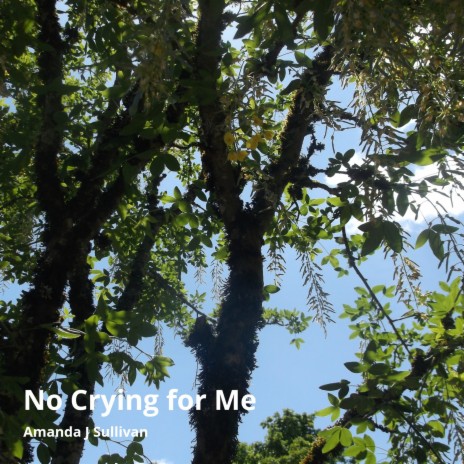 No Crying for Me | Boomplay Music