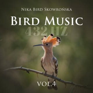 Bird Music 432 Hz Vol. 4