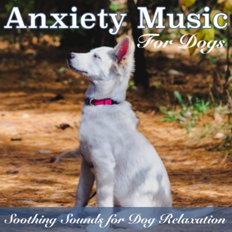 Favourite Human ft. Pet Music Therapy, Relax My Puppy & Relaxmydog | Boomplay Music