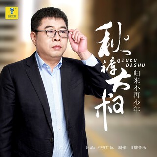 归来不再少年 lyrics | Boomplay Music