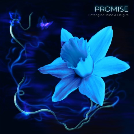 Promise ft. Delgira | Boomplay Music