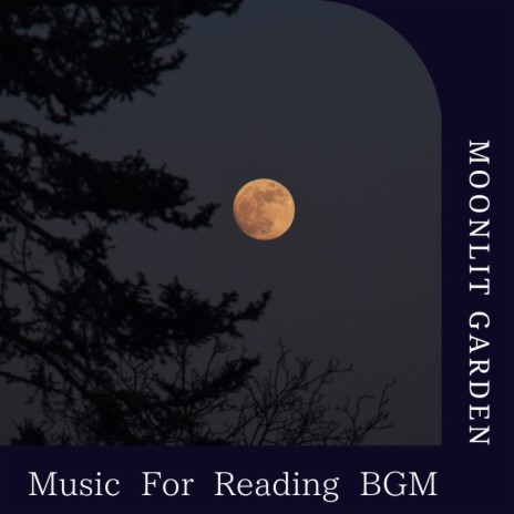 The Storyteller's Tale | Boomplay Music