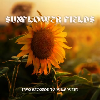 Sunflower Fields: Calming Rural Melodic Moments