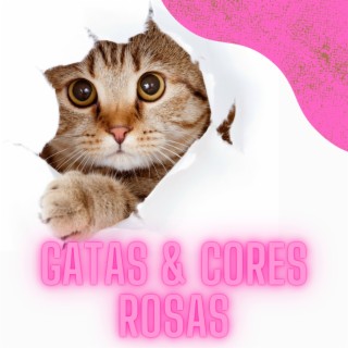 Gatas & Cores Rosas