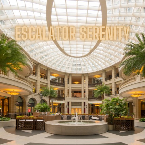 Escalator Serenity