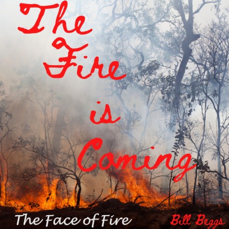 The Face of Fire | Boomplay Music