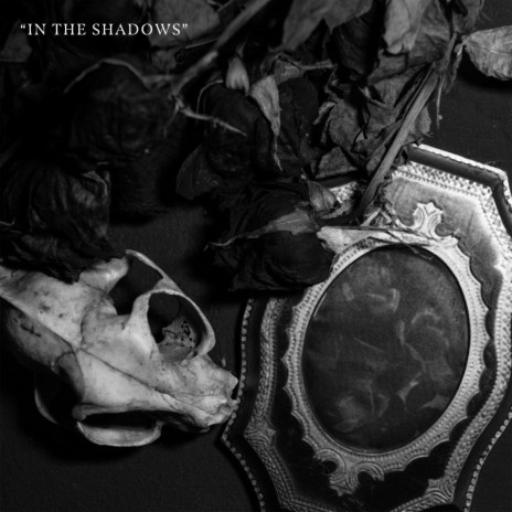 In The Shadows ft. Missing Words | Boomplay Music