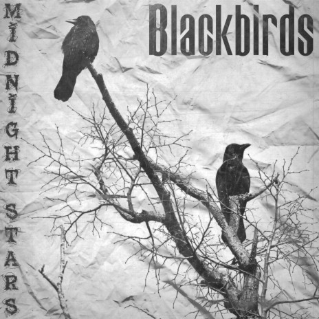Blackbirds | Boomplay Music