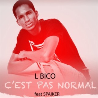 L Bico