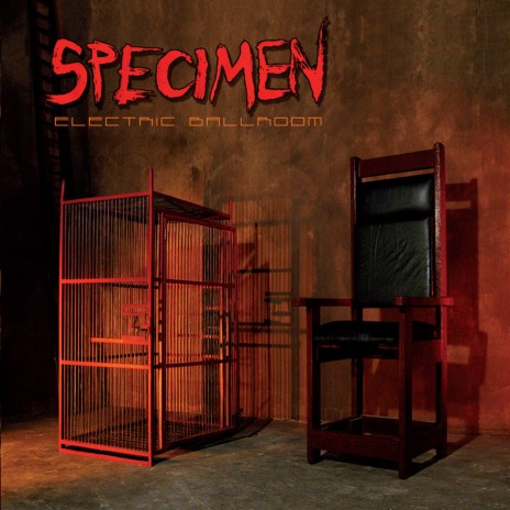 Kiss Kiss Bang Bang (Specimen vs. Atomizer (feat. Jonny Slut & Fil OK)) | Boomplay Music