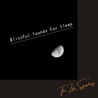 Blissful Sounds For Sleep