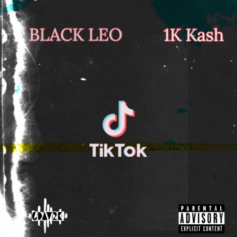 #TikTok (feat. 1K Kash) | Boomplay Music