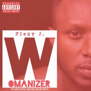 Womanizer lyrics | Boomplay Music