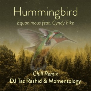 Hummingbird Chill Mix (feat. Cyndy Fike)