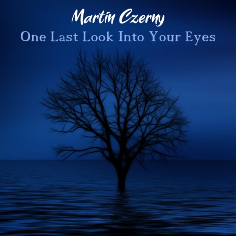 One Last Look Into Your Eyes | Boomplay Music