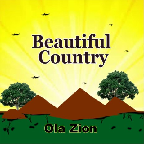 Beautiful Country | Boomplay Music