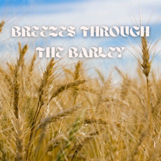 Breezes through the Barley