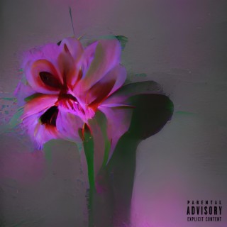 flower bloomed in a dark room (DELUXE)