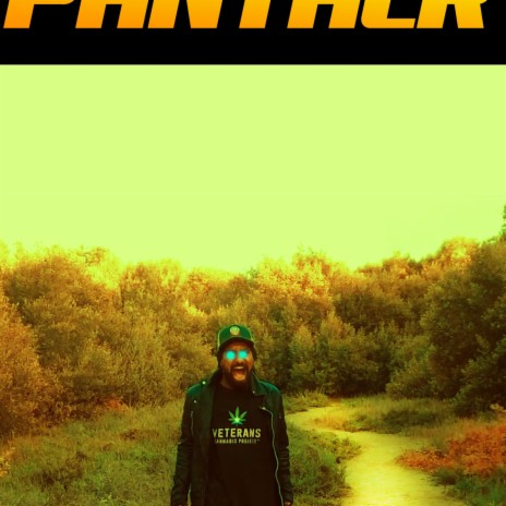 Dark Street Panther ft. m3b | Boomplay Music