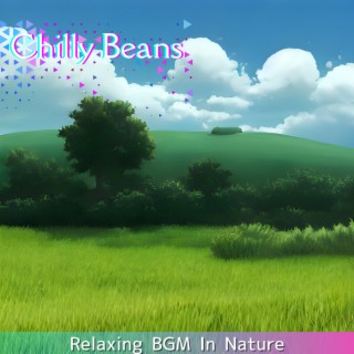 Relaxing BGM In Nature