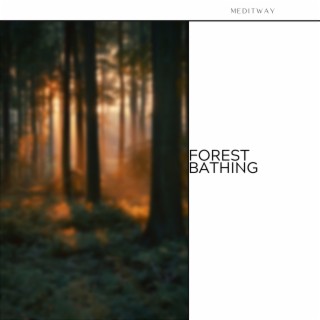 Forest Bathing: Reiki & Nature Sounds
