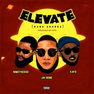 Elevate(Dark Shades)