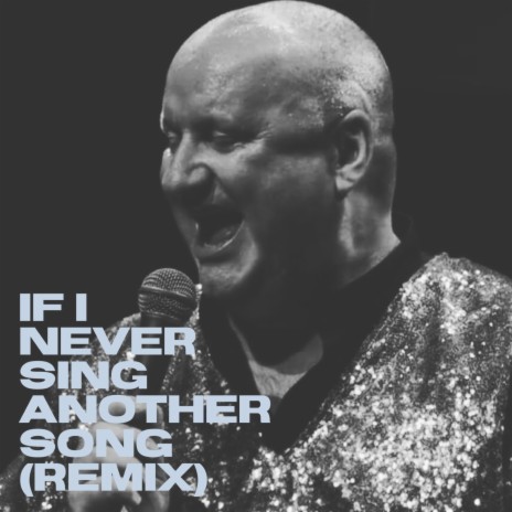If I Never Sing Another Song (Remix)