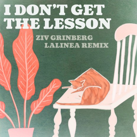 I Don't Get the Lesson - Lalinea Remix ft. Ziv Grinberg | Boomplay Music