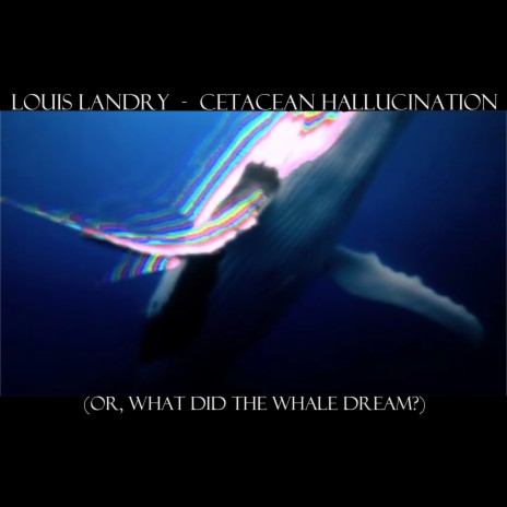 Cetacean Hallucination (What Did the Whale Dream?)