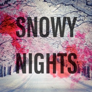 Snowy Nights