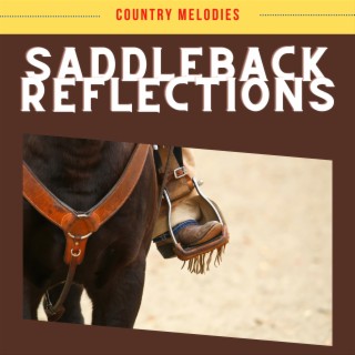 Saddleback Reflections