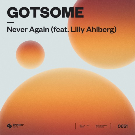 Never Again (feat. Lilly Ahlberg) | Boomplay Music