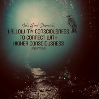 I Allow My Consciousness to Connect with Higher Consciousness (Meditation)