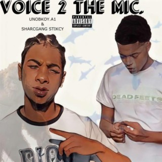 VOICE TO THE MIC (Radio Edit)