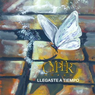 Llegaste a tiempo lyrics | Boomplay Music