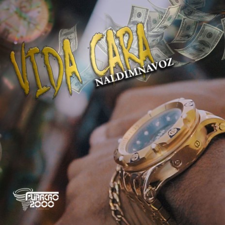 Vida Cara ft. NaldimNaVoz | Boomplay Music