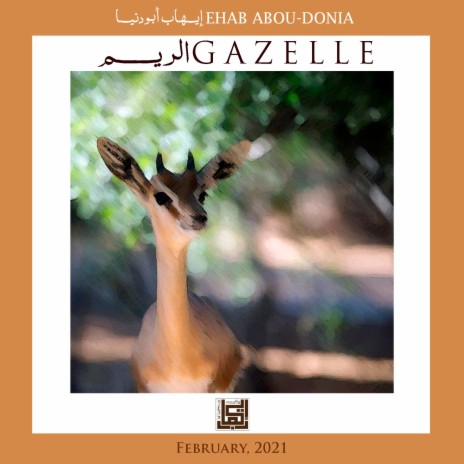 Gazelle | Boomplay Music