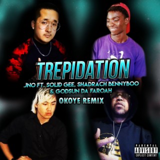 Trepidation (Okoye Remix) ft. Solid Gee, Shadrach Bennyboo, Godsun Da Faroah & Okoye lyrics | Boomplay Music