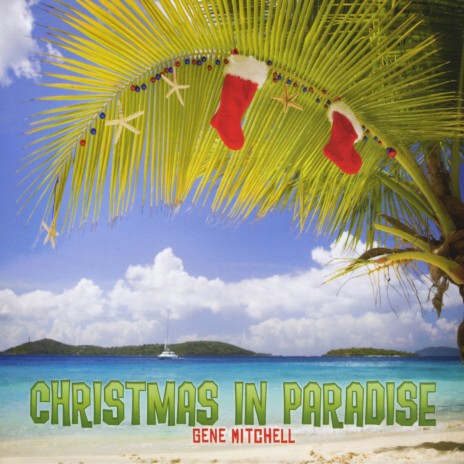 All I Want For Christmas Is A Big Palm Tree | Boomplay Music